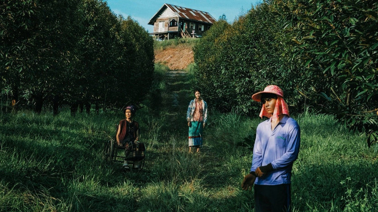 Терновый рай