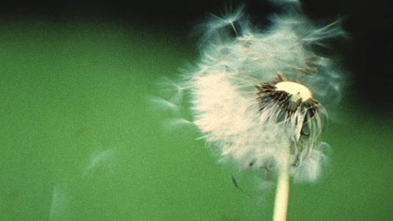 кадр из фильма A Walk / Im Park / ZUOZ