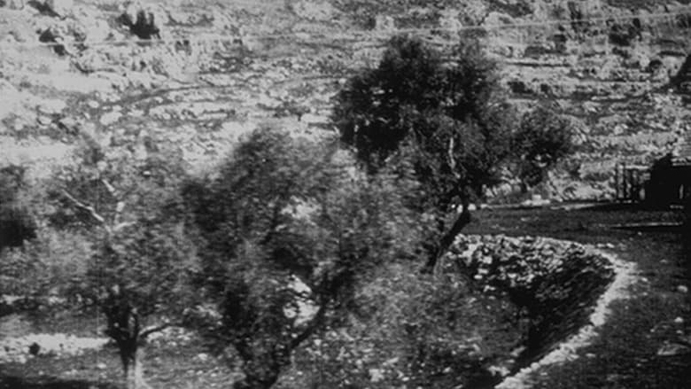 кадр из фильма Jaffa : panorama en chemin de fer