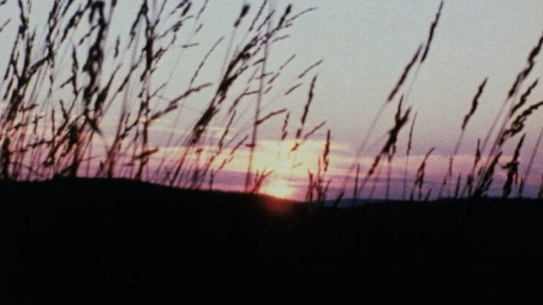 кадр из фильма Horizons