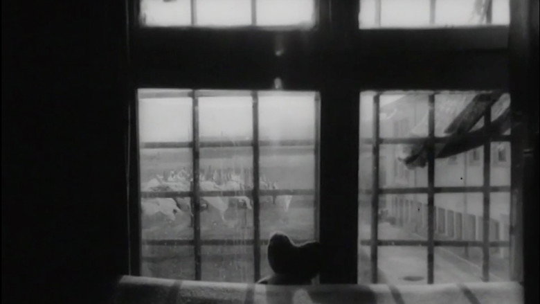 кадр из фильма Лице И Опако