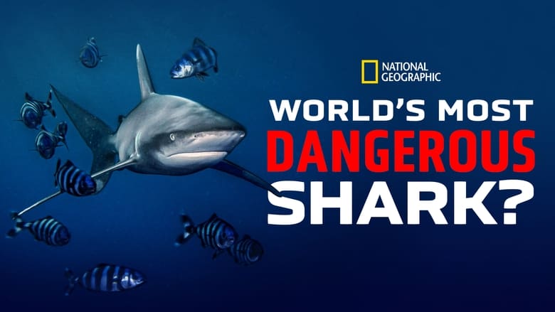 кадр из фильма World's Most Dangerous Shark?