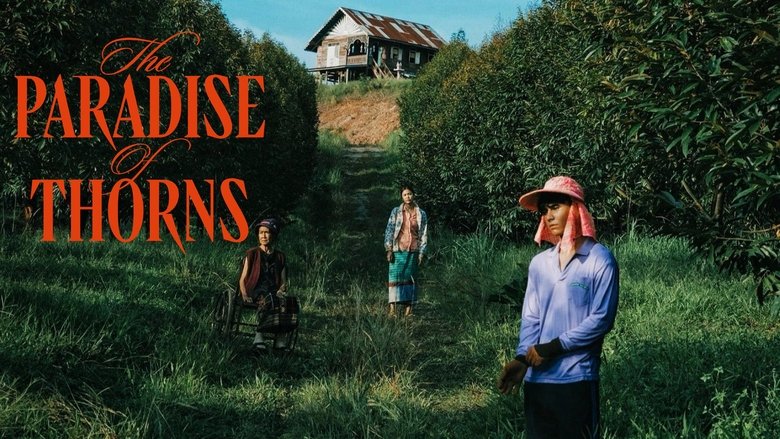 кадр из фильма Терновый рай