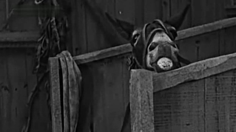 Большой бой