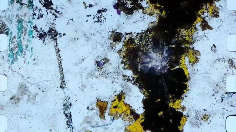 кадр из фильма The Rub