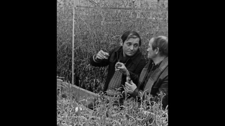 кадр из фильма Siedem czerwonych róż, czyli Benek kwiaciarz o sobie i o innych