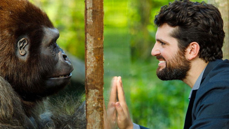 кадр из фильма Attenti al gorilla