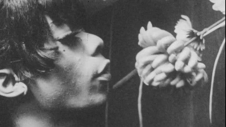 кадр из фильма Valerie