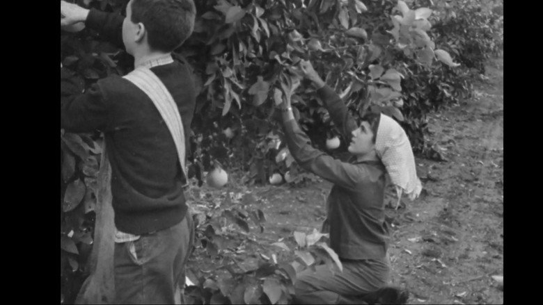 кадр из фильма יומן הקיבוץ המאוחד מס' 28 - גדות לירדן