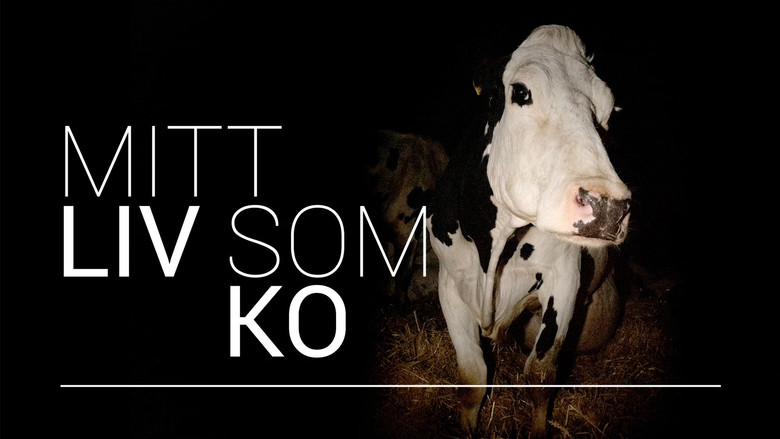 кадр из фильма Корова