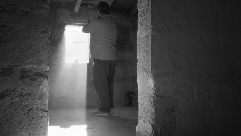 кадр из фильма Estimada Sa Bastida