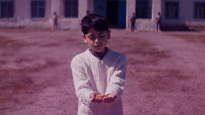 кадр из фильма Mənim sehrli dünyam