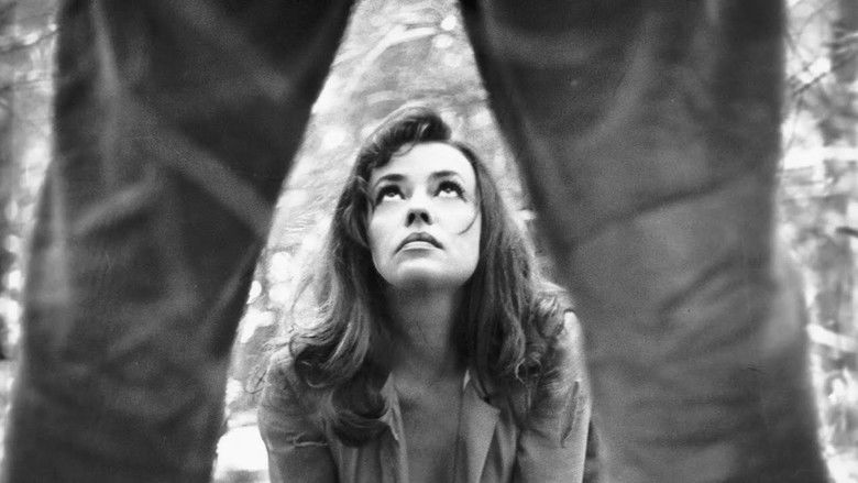 кадр из фильма Mademoiselle