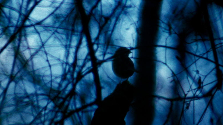 кадр из фильма The Legend of Boggy Creek