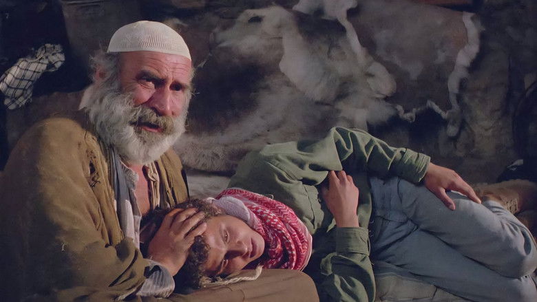 кадр из фильма חיוך הגדי