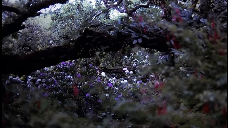 кадр из фильма Сексуально неуравновешенная жена