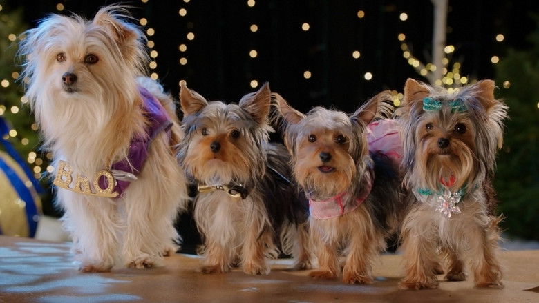 кадр из фильма Puppy Star Christmas