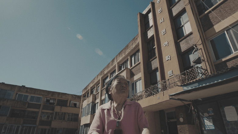 кадр из фильма 소리의 촉감