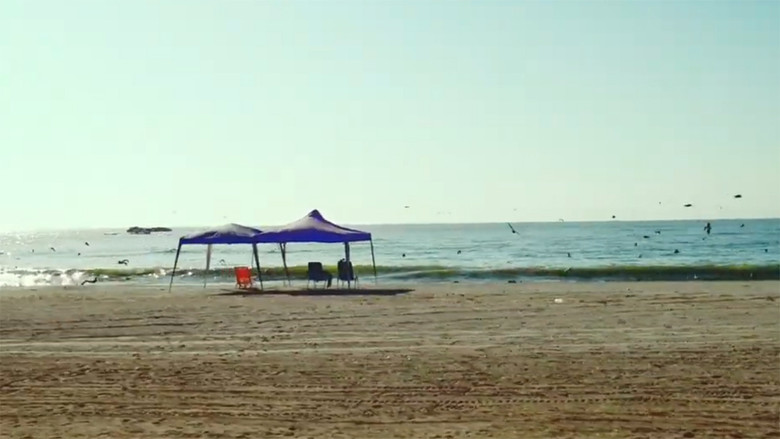 кадр из фильма El cost amagat