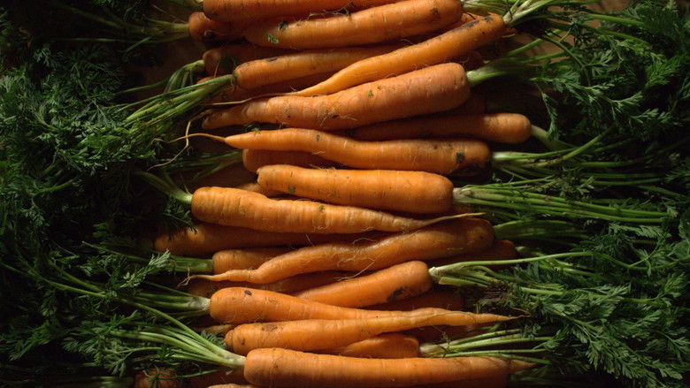 кадр из фильма Onicofagia