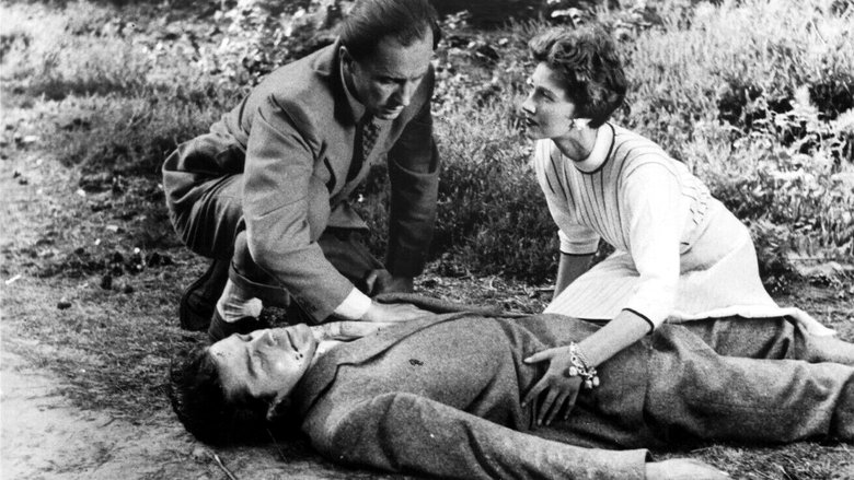 кадр из фильма Spin a Dark Web