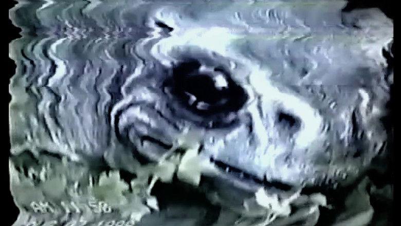 кадр из фильма Фрогмен