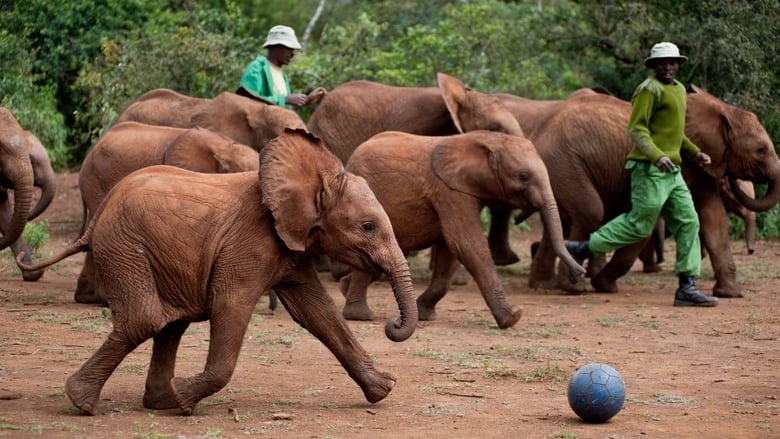 кадр из фильма Рожденные на воле