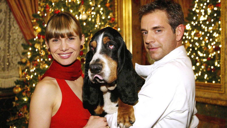 кадр из фильма Der Weihnachtshund