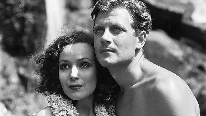 кадр из фильма Райская птичка