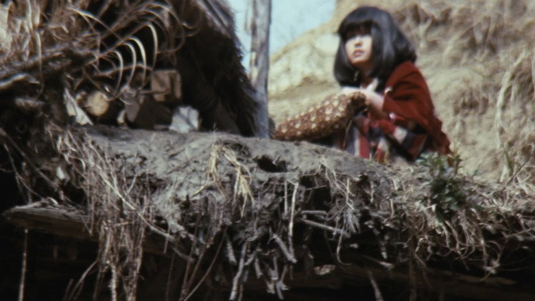 кадр из фильма 女地獄　森は濡れた