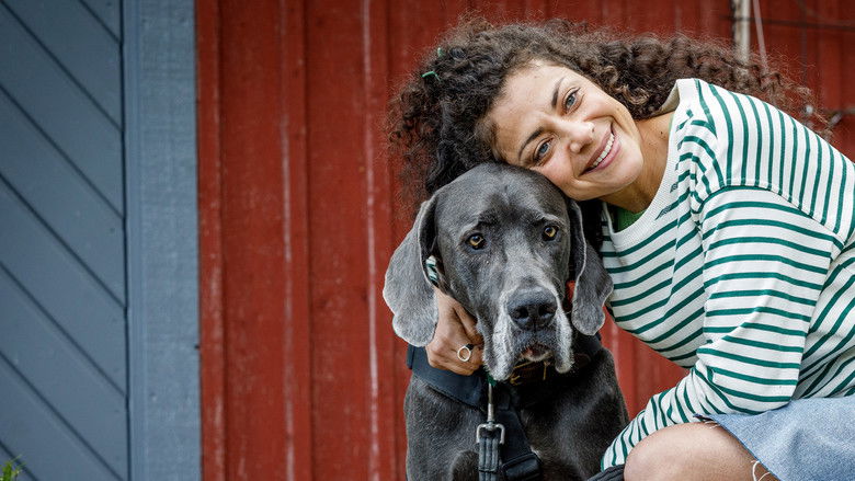 кадр из фильма Tack för senast