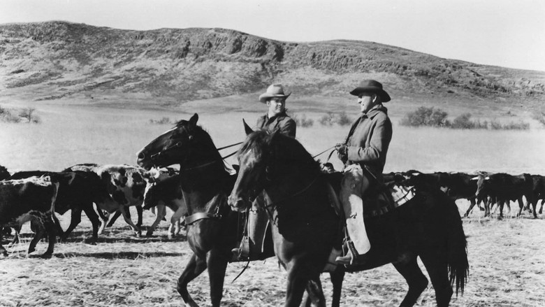 кадр из фильма Cast a Long Shadow