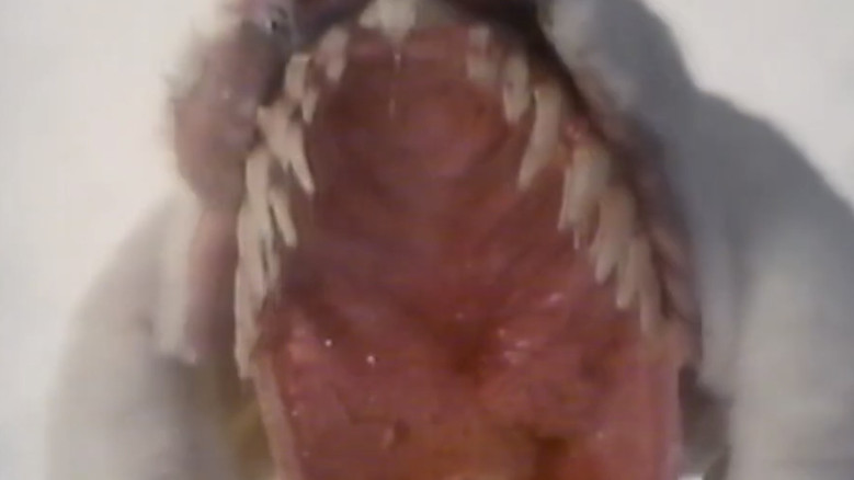 кадр из фильма モモコワンダーランド　ストレンジハウス