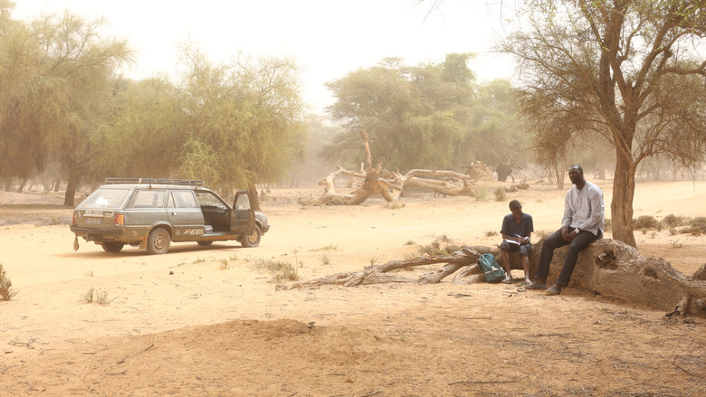 кадр из фильма Легенды саванны