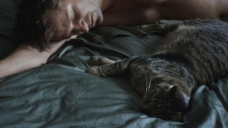 кадр из фильма Кот