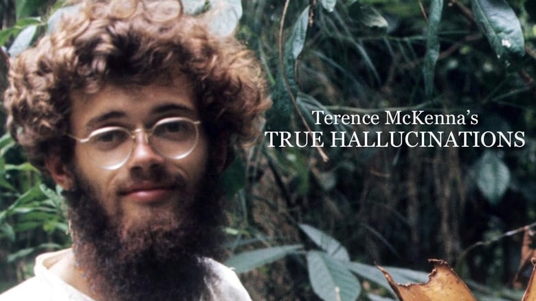 кадр из фильма Terence McKenna's True Hallucinations