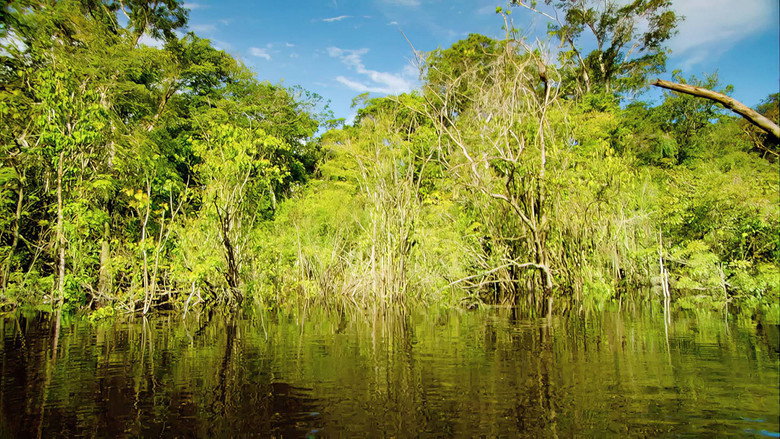 кадр из фильма Last Chance to See