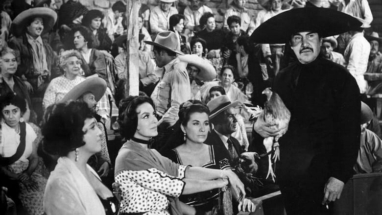 кадр из фильма La Bandida