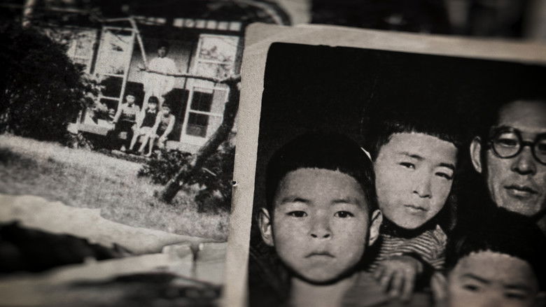 кадр из фильма Миядзаки: Душа природы