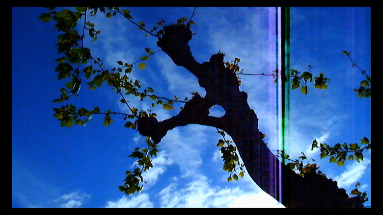 кадр из фильма Прощай, речь