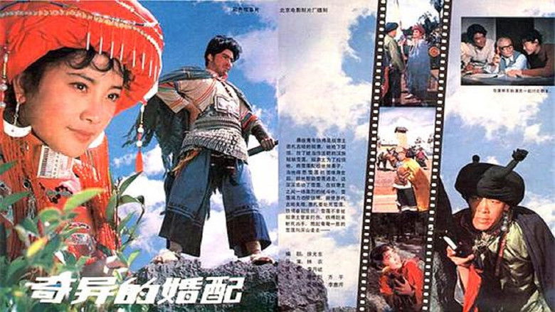 кадр из фильма 奇异的婚配