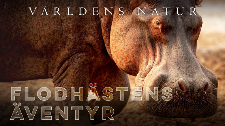 кадр из фильма Hippo King