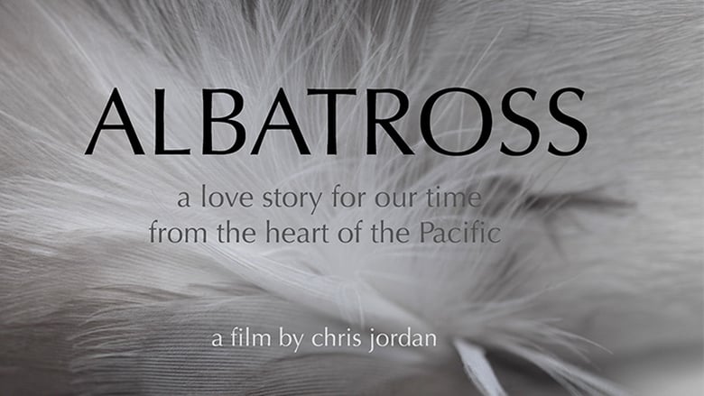 кадр из фильма Albatross