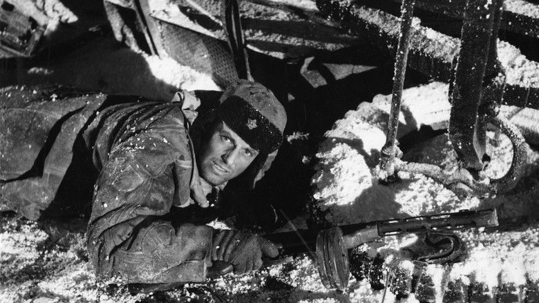 кадр из фильма Собаки, хотите жить вечно?