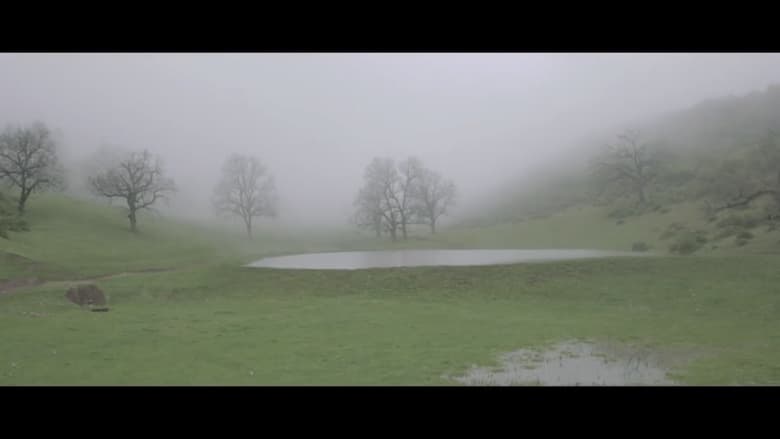 кадр из фильма Один на один