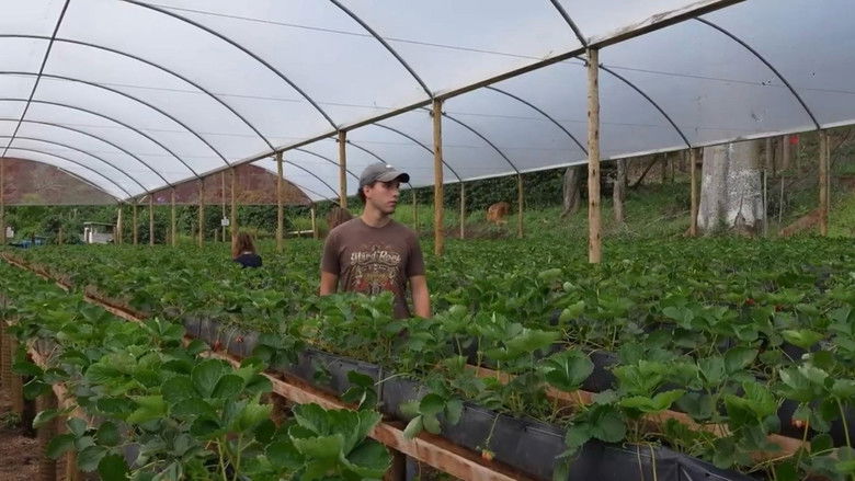 кадр из фильма Sobre o Luar