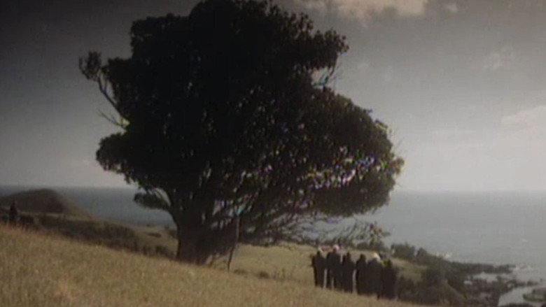 кадр из фильма Mauri