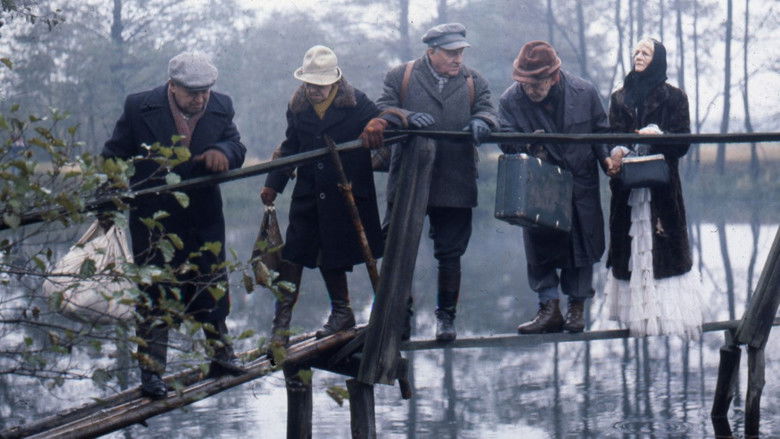 кадр из фильма Prognoza pogody