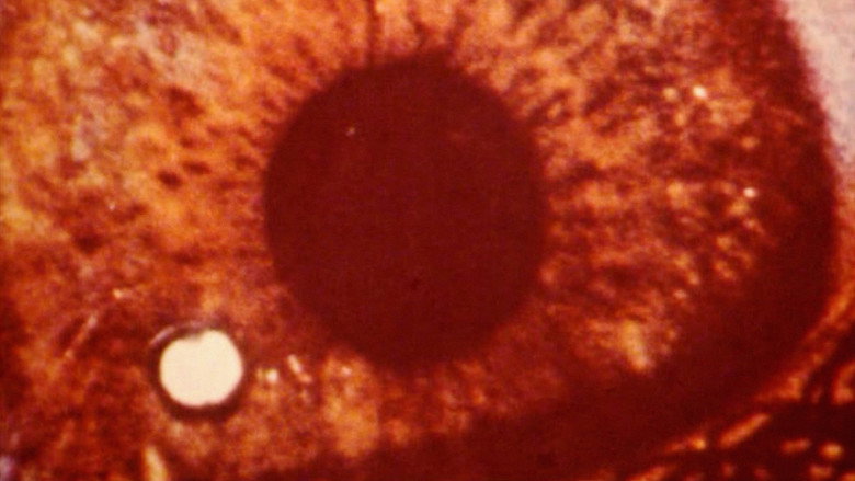 кадр из фильма OM