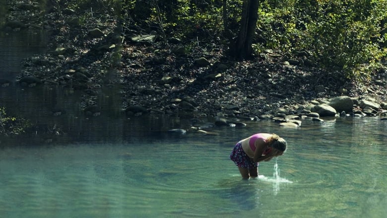 кадр из фильма Nomad Solitude